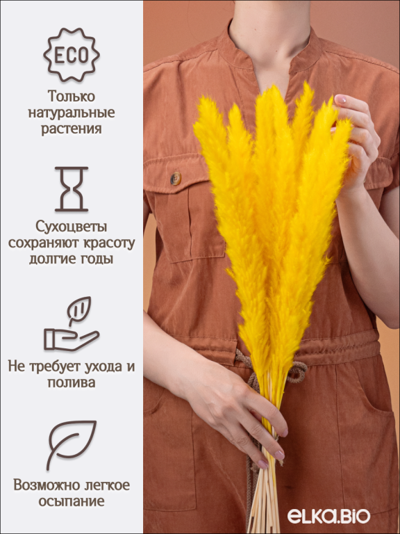 Пампас мини жёлтый 15 шт. Высший сорт. Высота 40-50 см. М137