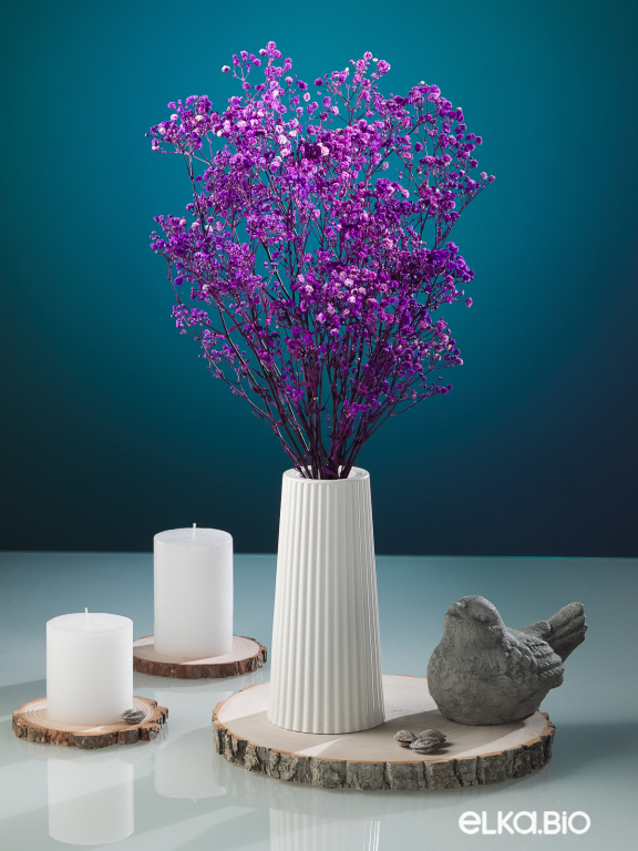 Гипсофила стабилизированная сиреневая 50 гр. высший сорт М178