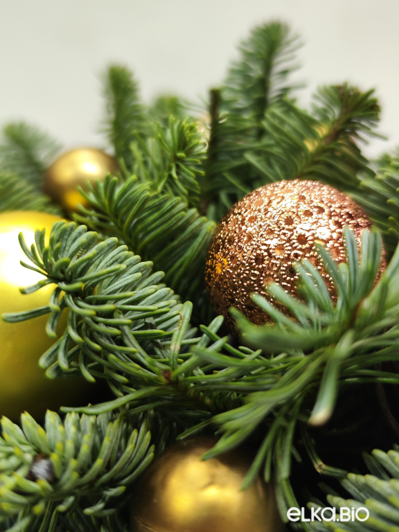 Новогодняя композиция из Нобилиса Шоколадная мечта мини Ю49-В713