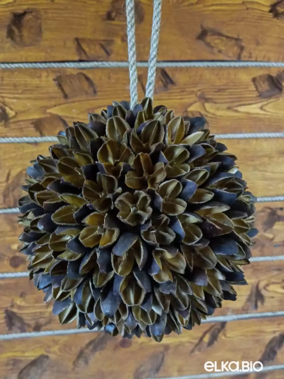 Декоративный шар из скорлупы бакули Бакули в золоте (большой) П49-В57