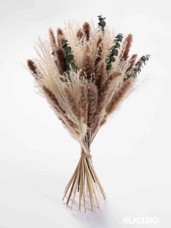 Эвкалипт, пампас мини и мискантус в наборе для декора. Набор М098