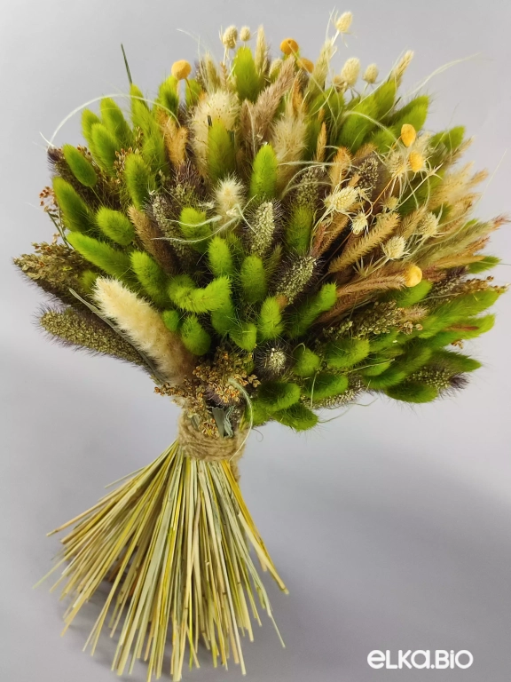 Букет с зеленым лагурусом Б51-B101