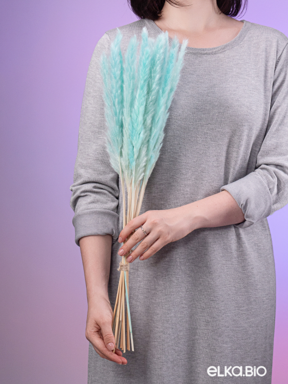 Трава сухоцвет пампас мини 90 шт. светло-бирюзовый первый сорт