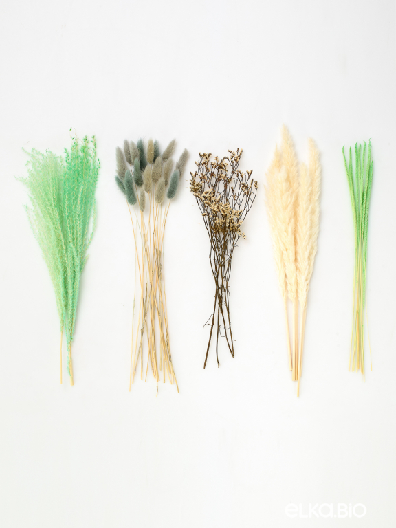 Набор для букета из сухоцветов М360