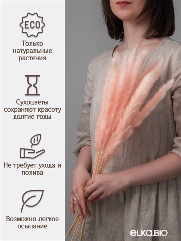 Пампас мини светло-розовый 15 шт. Высший сорт. Высота 40-50 см. М033