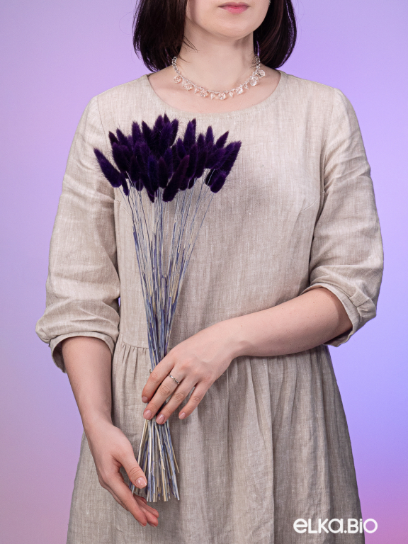 Лагурус фиолетовый высший сорт - 60 шт