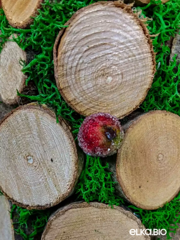 Настольная декоративная елка из спилов и мха Яркая звезда П8-B11