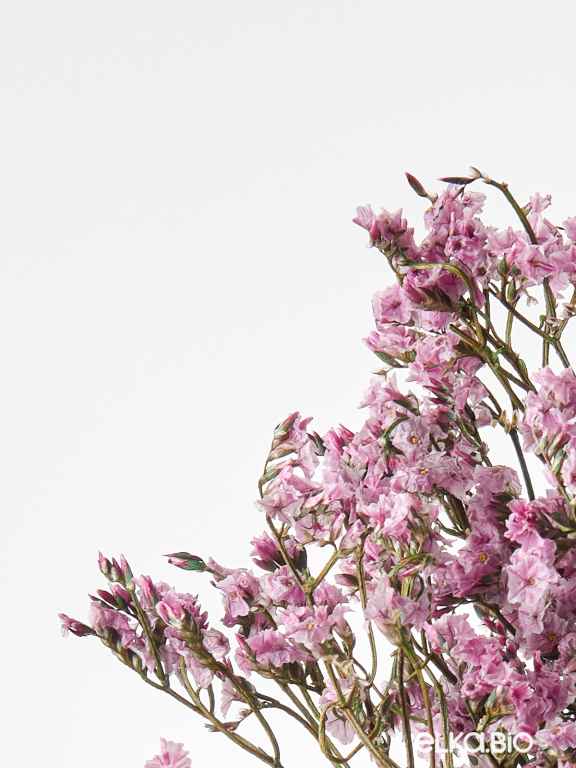 Цветы лимониума сиреневые (80г) М221 Цветы лимониума сиреневые (80г) М221