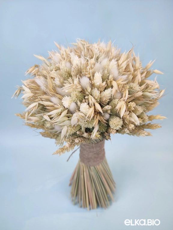 Букет из колосьев Т251-B113