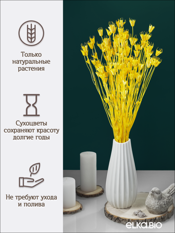 Нигелла желтая 50 г. Высший сорт. Высота 40-55 см. М414