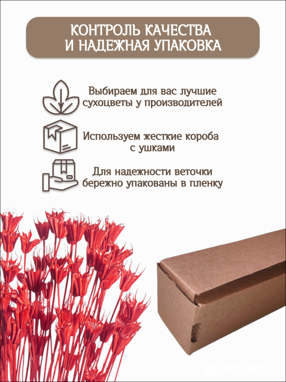 Нигелла красная 50г. Высший сорт. Высота 40-55 см. М409