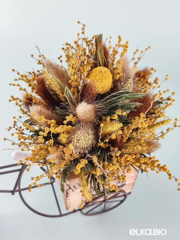 Велосипед с лагурусом и мимозой Т157-B102