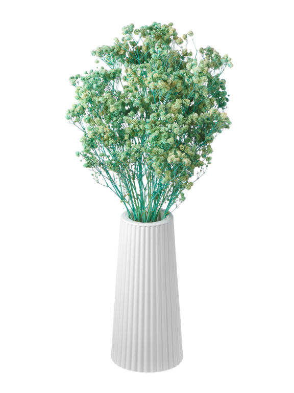 Гипсофила стабилизированная светло-бирюзовая 50 гр. высший сорт М171