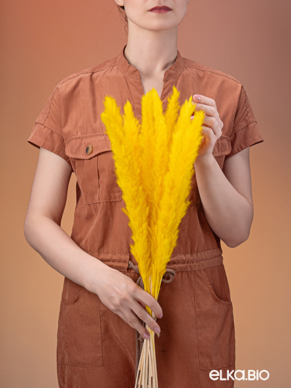 Трава сухоцвет пампас мини 90 шт. ярко-жёлтый первый сорт