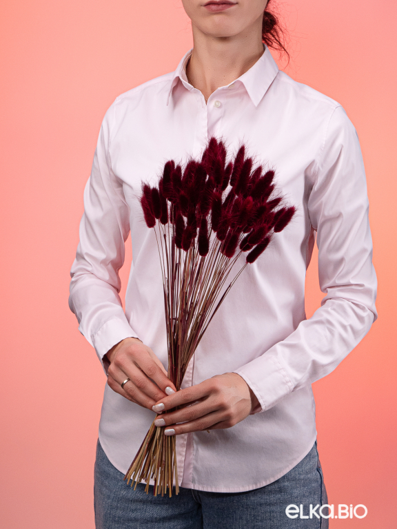 Лагурус бордовый марсала первый сорт - 300 шт