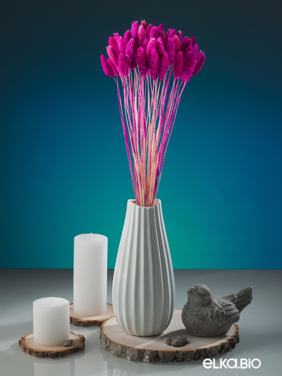 Фалярис фуксия (40шт) М120