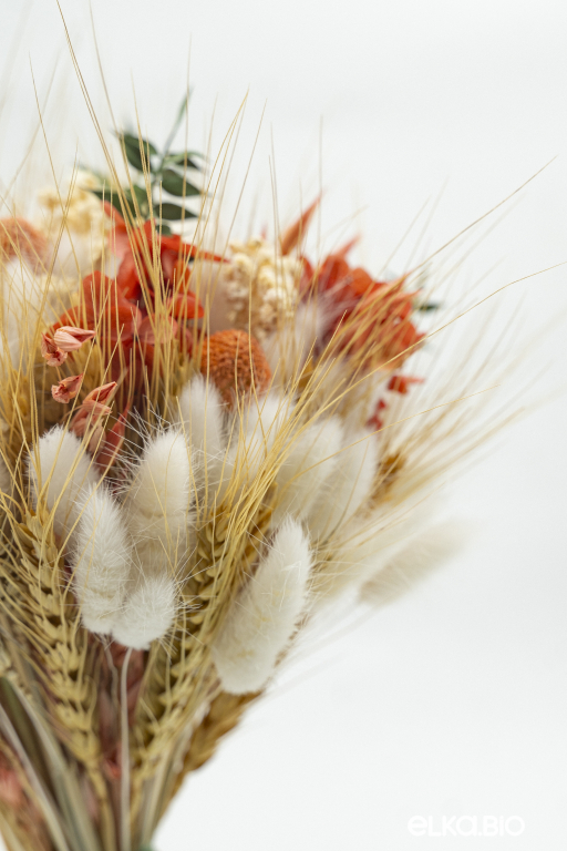 Стабилизированный букет из лагуруса, пшеницы и гортензии Ю78-B109