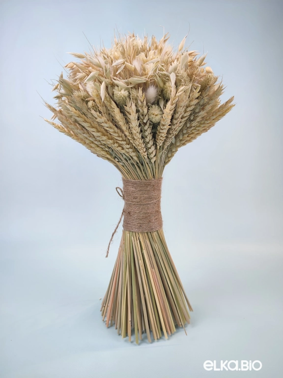 Букет из колосьев Т251-B113