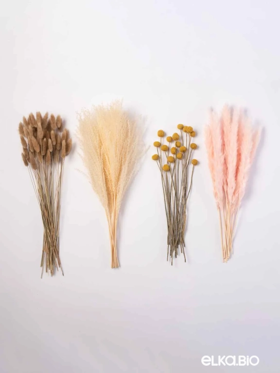 Сухоцветы для декора интерьера. Набор М079