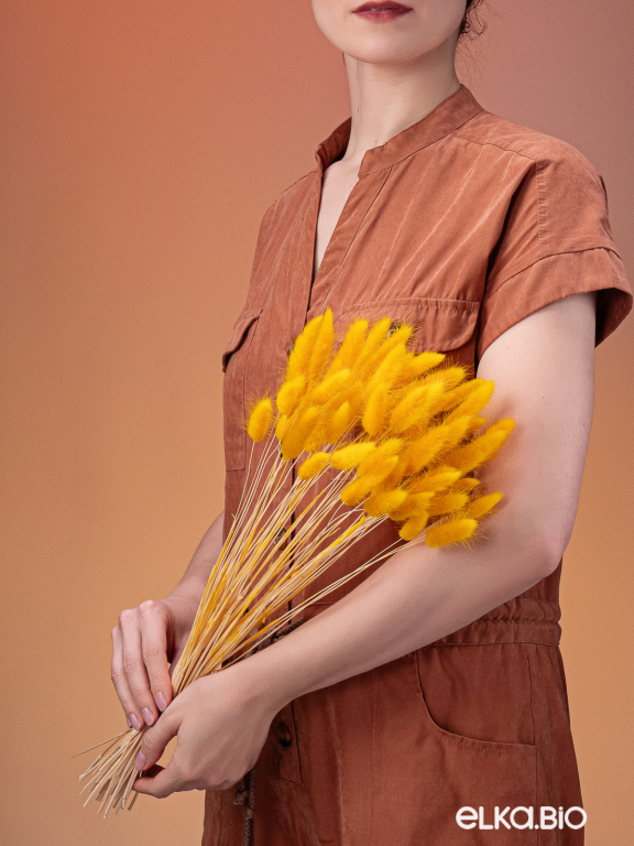 Лагурус тёмно-жёлтый первый сорт - 300 шт