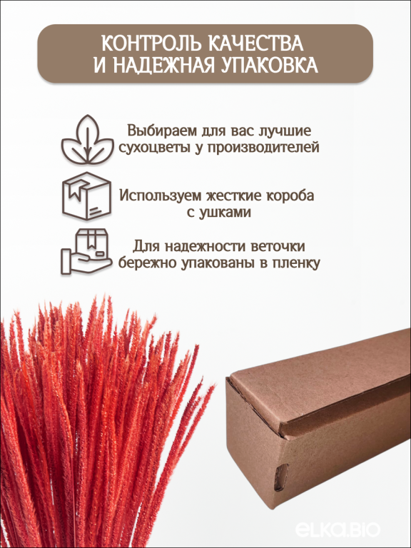 Алопекурус (тимофеевка) красный 150 шт. Высший сорт - до 50 см  М421