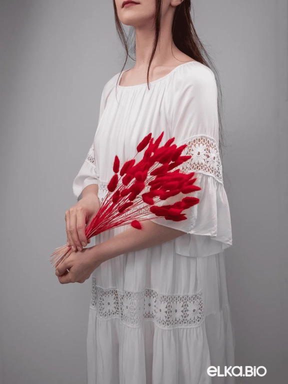 Лагурус красный высший сорт - 60 шт