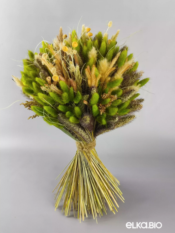 Букет с зеленым лагурусом Б51-B101