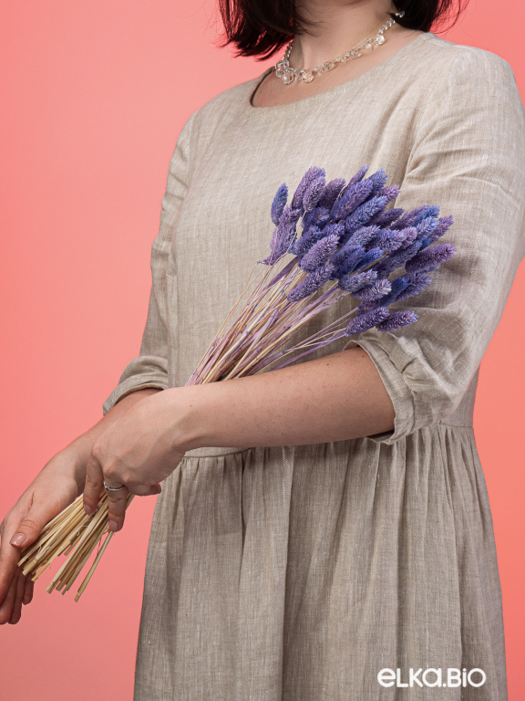 Фалярис сиреневый (40шт) М115