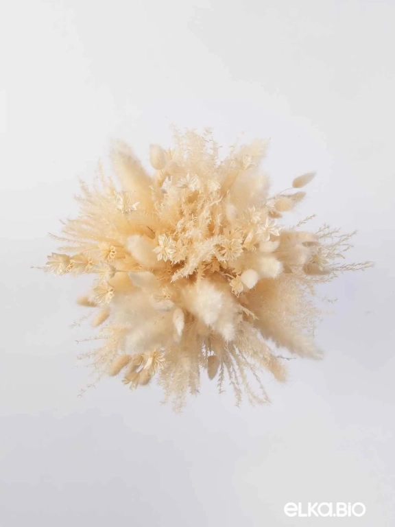 Сухоцветы для декора микс. Набор М073