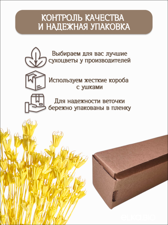 Нигелла желтая 50 г. Высший сорт. Высота 40-55 см. М414