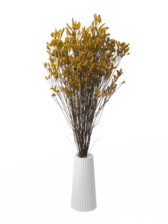 Цветы лимониума жёлтые (80г) М216