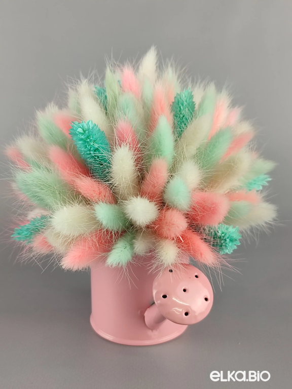 Цветы лагуруса и фаляриса в лейке А102-B100