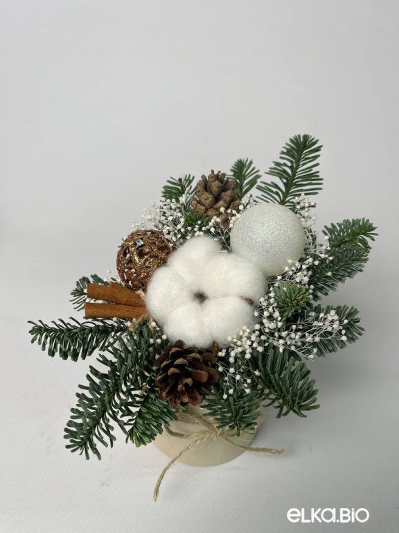 Настольная композиция из Нобилиса с хлопком К2