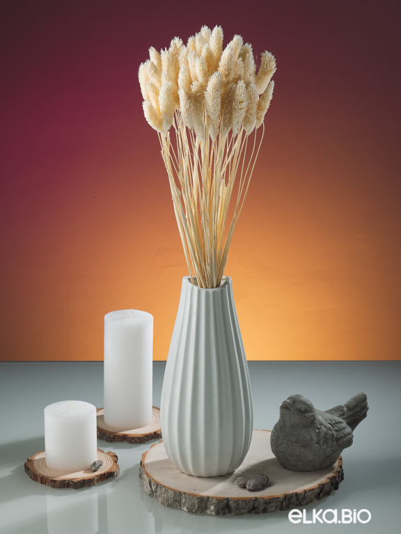 Фалярис белый  (40шт) М103