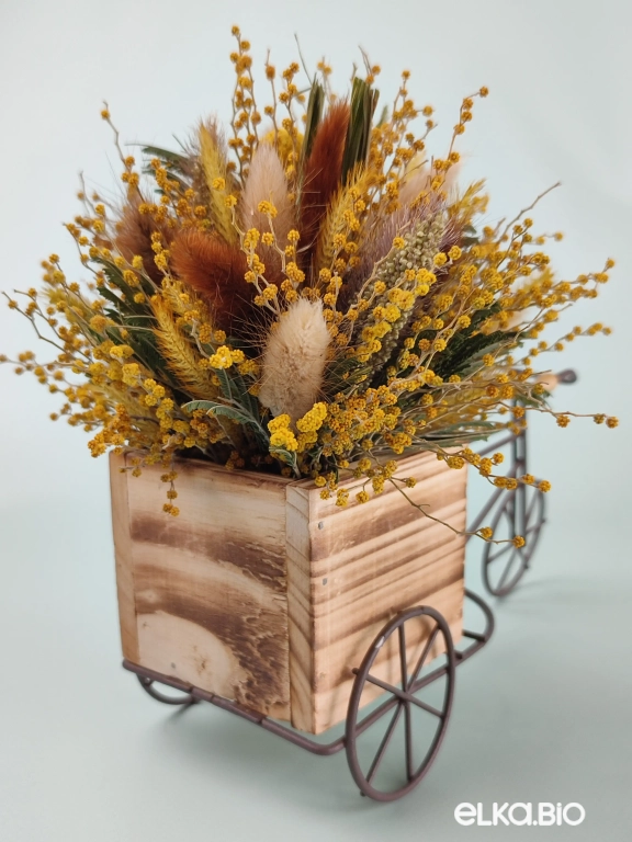 Велосипед с лагурусом и мимозой Т157-B102