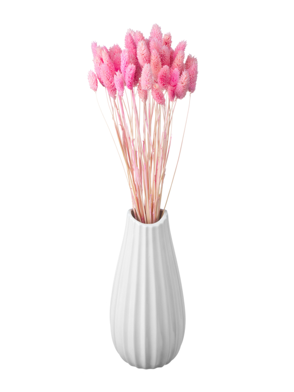 Фалярис светло-розовый (40шт) М112