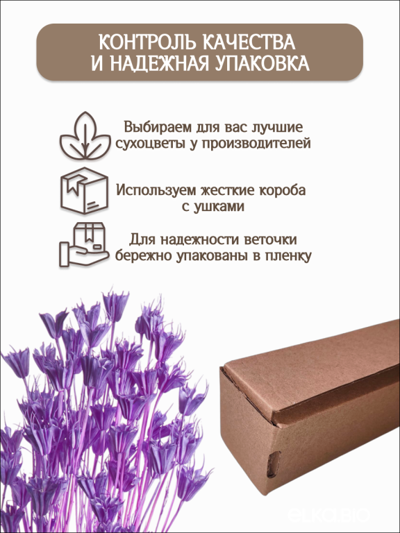 Нигелла фиолетовая 50г. Высший сорт. Высота 40-55 см. М412
