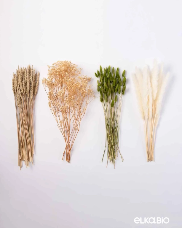 Сухоцветы для декора, гипсофила, пшеница, пампасная трава мини, лагурус. Набор М096