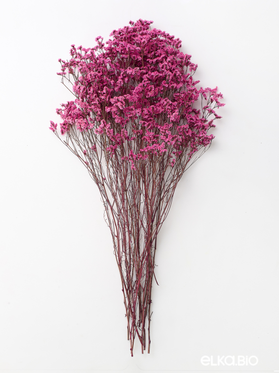 Цветы лимониума фуксия (80г) М222 Цветы лимониума фуксия (80г) М222