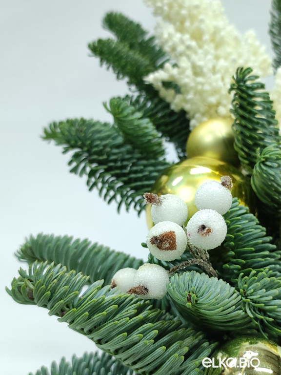 Настольная композиция из Нобилиса Снежные искры Я3