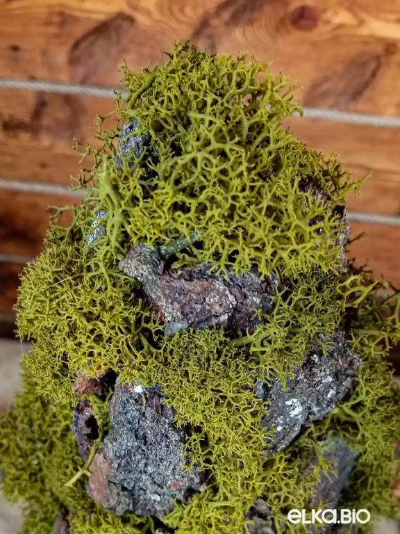 Настольная новогодняя елка из коры и мха Царь леса Т29-В12