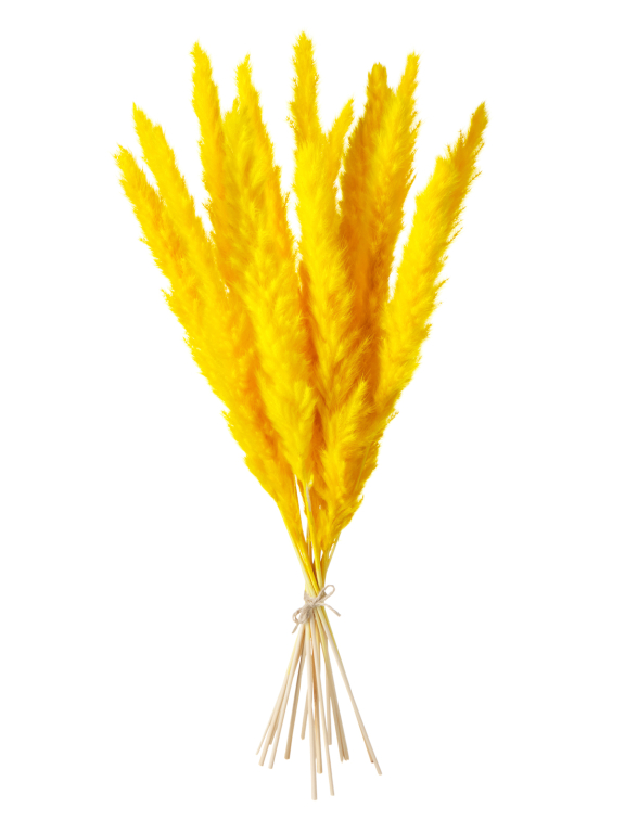 Трава сухоцвет пампас мини 15 шт. ярко-жёлтый высший сорт