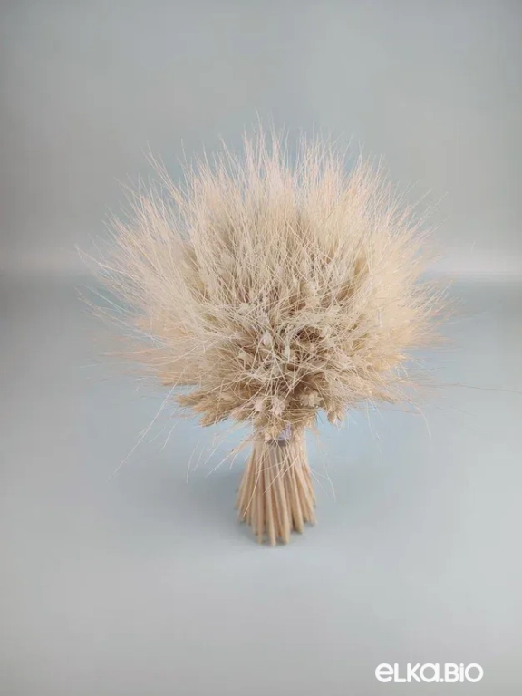 Букет из белой пшеницы Т240-B113