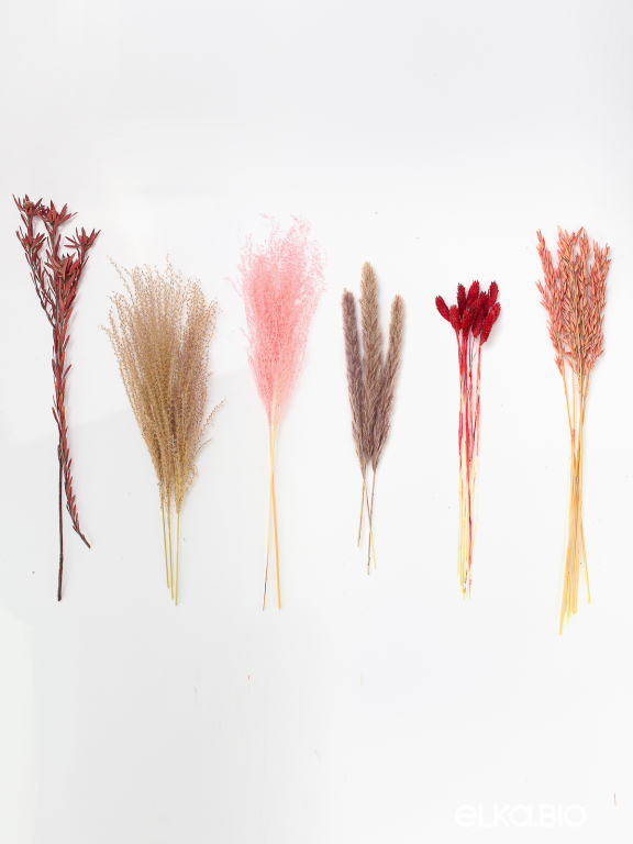 Сухоцветы в наборе для декора М330