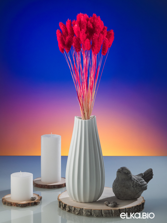 Фалярис красный (40шт) М108