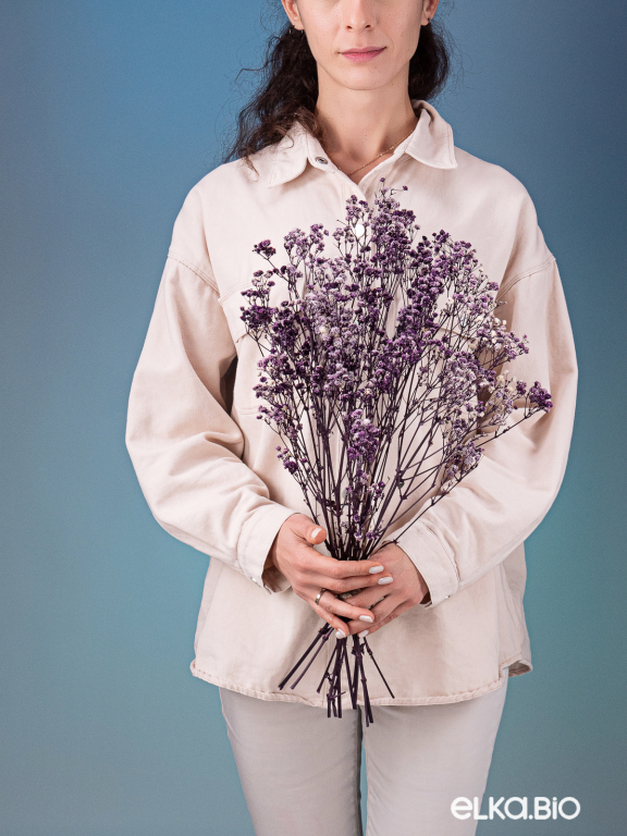 Гипсофила стабилизированная фиолетовая 550 гр. первый сорт М5168