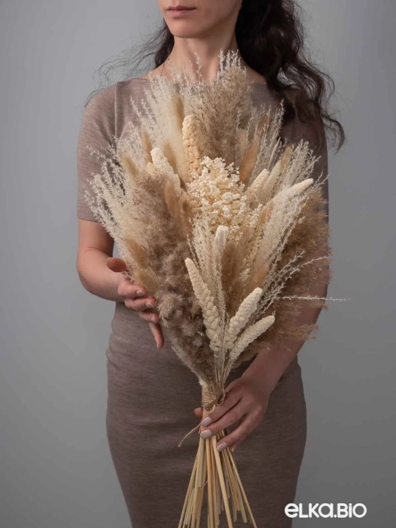 Cухоцветы для декора. Набор М072