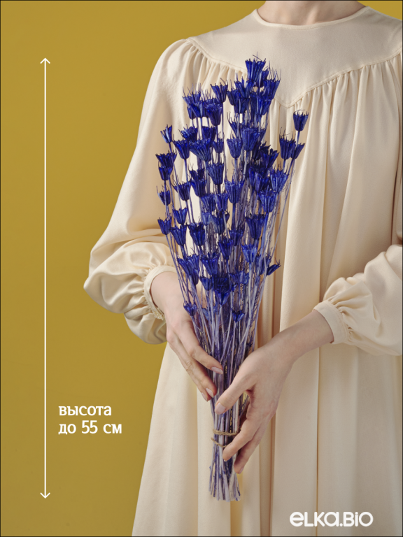 Нигелла синяя 50г. Высший сорт. Высота 40-55 см. М411