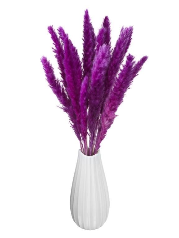 Трава сухоцвет пампас мини 15 шт. фиолетовый высший сорт
