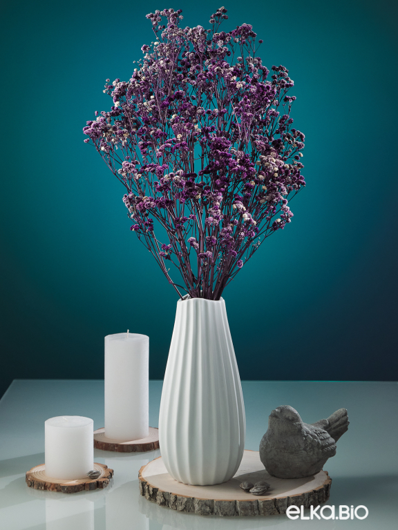 Гипсофила стабилизированная фиолетовая 140 гр. высший сорт М168